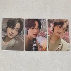 &TEAM 雪明かり　EJ ウィジュ　トレカ