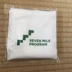 Item thumbnail for item a4fc6d54-0c57-4c88-8c4d-5ef666e0c0ed