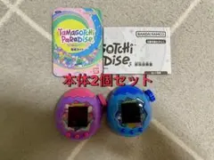 Tamagotchi Paradise 紫　青 本体　2個セット