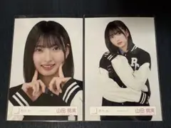 Item thumbnail for item 6a2273dc-fb76-4526-a42f-1e69703889e8