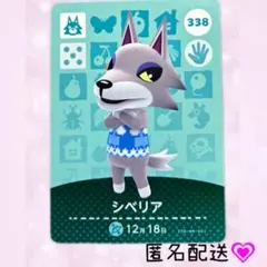 あつまれどうぶつの森 amiiboカード あつ森 338 シベリア
