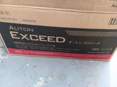 斉*樹様 AUTON EXCEED Nランプブラック2缶セット - メルカリ