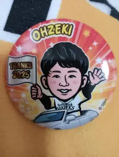 若鷹ガチャ 大関