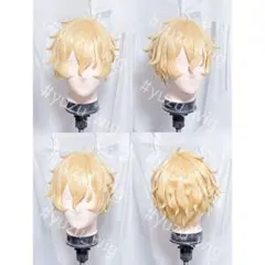 あずきなこ様 コスプレ ウィッグ オーダー 専用ページ ②