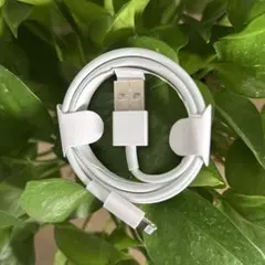 Apple Lightning - USBケーブル