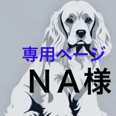 専用ページ　　ＮＡ様 無害シリコンモールド