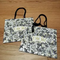 【新品】DIOR ディオール クリスマス2021限定 ショップ袋 2セット