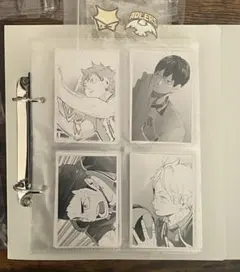 ハイキュー‼︎クロニクル　フォトカード全種　ピン