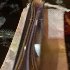 Item thumbnail for item 9cc50e70-b18b-480f-b851-a227a720bf81