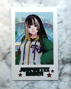 非売品】ホロライブ EXPO26 儒烏風亭らでん 特典カード & 冊子セット