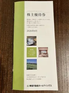 【500株以上1000株未満】最新・お値下げ　東急不動産ホールディングスのサムネイル