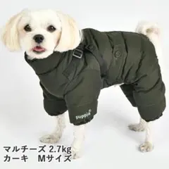 Item thumbnail for item fbbf089c-6dc6-4af6-93d3-09083c7c9106