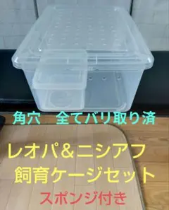 レオパ・ニシアフ用 飼育ケージ（角穴・スポンジ付）のサムネイル