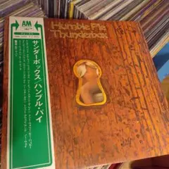希少 SEBADOH SOUL AND FIRE アナログレコード 希少 SEBADOH SOUL AND FIRE アナログレコード - メルカリ