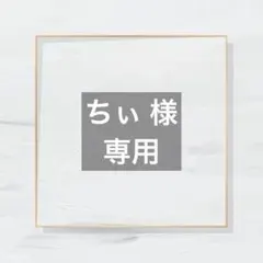 ちぃ様 専用ページ straykids ネイル skzoo