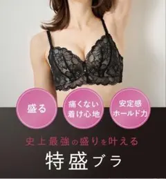 チュチュアンナ ✨️WeB限定✨️特盛ブラ ライラック×黒 レース E70