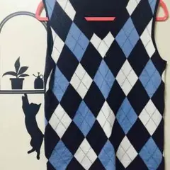FREDY&GLOSTER/fredy のアーガイルベスト
