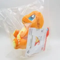 バンダイ 1番くじ ポケモン 30th E賞 ぬいぐるみ ホウエン地方
