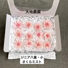 済　mayufuji ♡空花♡様　ご専用