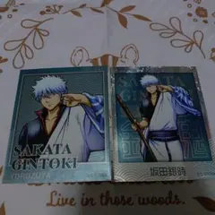 銀魂　坂田銀時　フォト風メタルステッカーコレクション