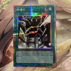 d6198遊戯王神鳴り　プリシク