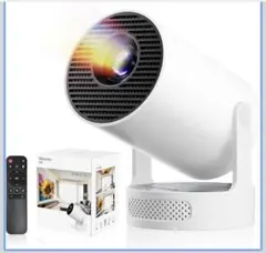 Item thumbnail for item fb0fd7d8-e4b7-41a6-aaa8-5cd27f1c2340