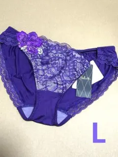 ⭐️稀少⭐️ワコール　サルート⭐️95グループ⭐️VI⭐️ショーツLサイズ
