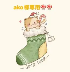 ako様 リクエスト 2点 まとめ商品