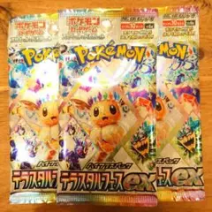 ポケモンカード テラスタルフェスex サーチ済み 16パック