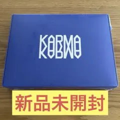 【新品未使用】Stray Kids KARMA CEREMONY VER