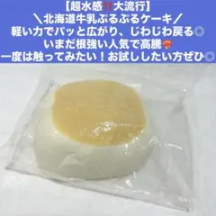 【超水感‼️大流行】 水感 北海道牛乳 スクイーズ 牛ケーキ 生クリーム ぷるぷる