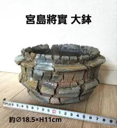 宮島將實 厳選一点モノ 大鉢 検)カタチ製作所 インビジブルインクのサムネイル
