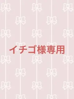 イチゴ様専用‼️他の方はご購入できません‼️