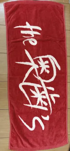 the奥歯's フルセット 8-7924-02 開口補助具 オーラルバイト・ワイド 5本入 【AXEL】 アズワン