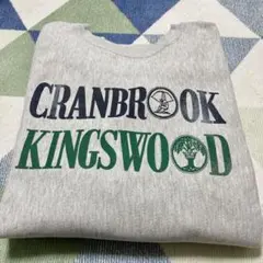 90s Champion染み込みプリント リバースウィーブ刺繍タグXL USA製