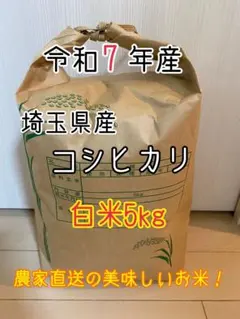 コシヒカリ 【令和7年 埼玉県産】 白米10g - メルカリ
