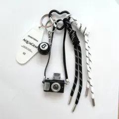 じゃらじゃらキーホルダー　バッグチャーム　キーチャーム　カメラ　ビリヤード