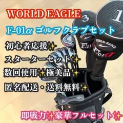 即戦力✨極美品✨WORLD EAGLE F-01α メンズ ゴルフクラブセットのサムネイル