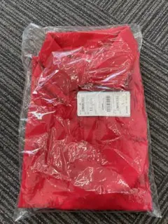 【E】ミズノ　メンズポロシャツ　カジュアルウェア ゴルフ　テニス