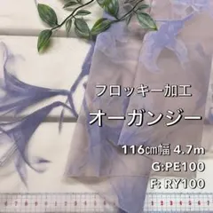 Item thumbnail for item 50c711dc-e26c-4ba4-b5d7-97754d5d6853