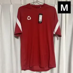 Item thumbnail for item 8a257a8f-ddd8-410d-881e-a502bf0c1007