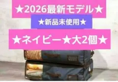 ☆最新モデル☆帝人☆収納ケースプレミアム☆大2個小1個セット☆グレー