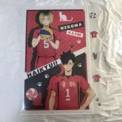 ハイキュー!! 音駒 孤爪研磨 黒尾鉄朗A4クリアファイル