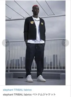 elephant TRIBAL fabrics ベトジャン風ジャケット