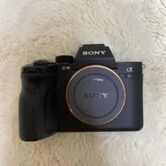 2026年最新】ソニー α7siiiの人気アイテム - メルカリ