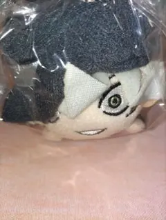 2026年最新】ジニョン ぬいぐるみの人気アイテム - メルカリ