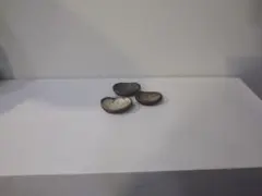 Item thumbnail for item a42bd599-28f9-4ace-8507-64d57a720027