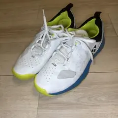 Item thumbnail for item cefeb061-a90a-4e35-9f94-0e4579bab175