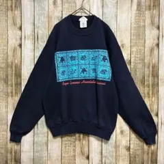 F20 レア Reyn Spooner スウェットトレーナー USA製 ハワイ柄