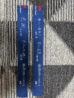 Item thumbnail for item d06ce98d-5cfc-44a7-af90-657cf0fcdb03